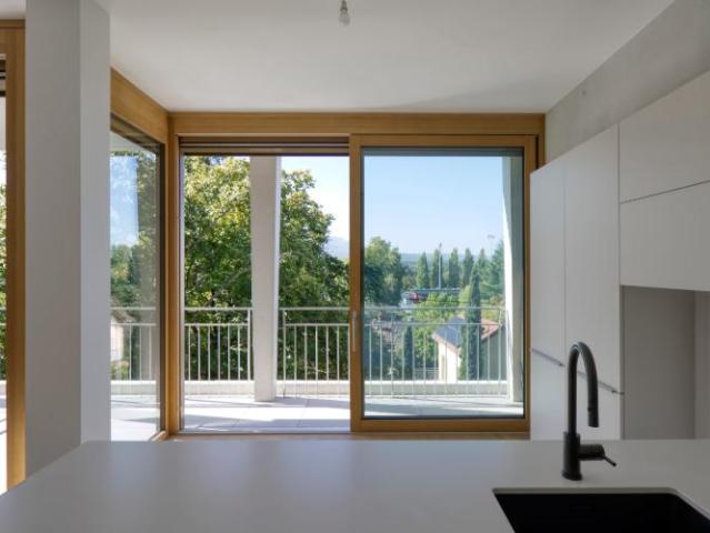 Apartment mieten in Chêne-Bourg