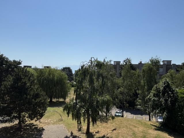 Apartment mieten in Tolochenaz, Waadt