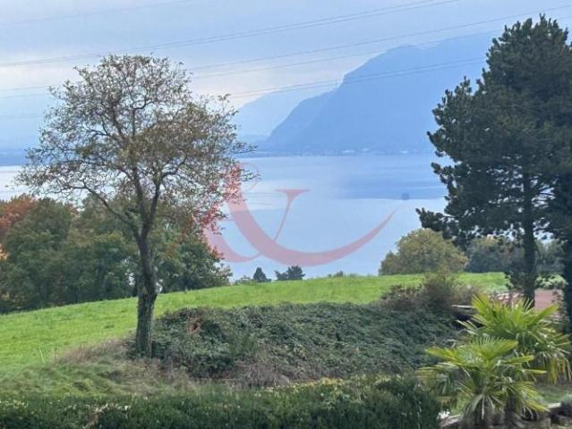 Apartment mieten in Saint-Saphorin (Lavaux), Waadt