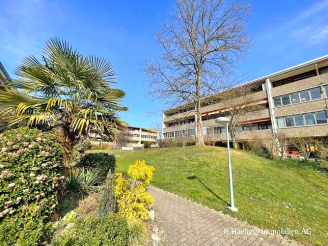 Wohnung kaufen in Rheinfelden, Aargau