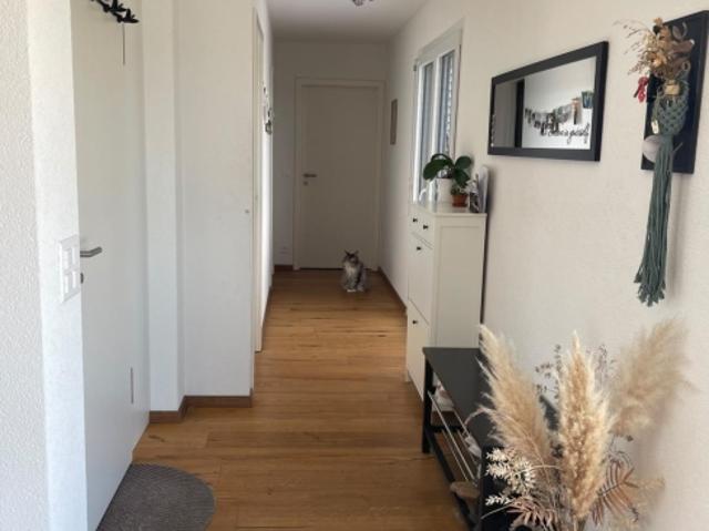 Wohnung mieten in Avenches, Waadt