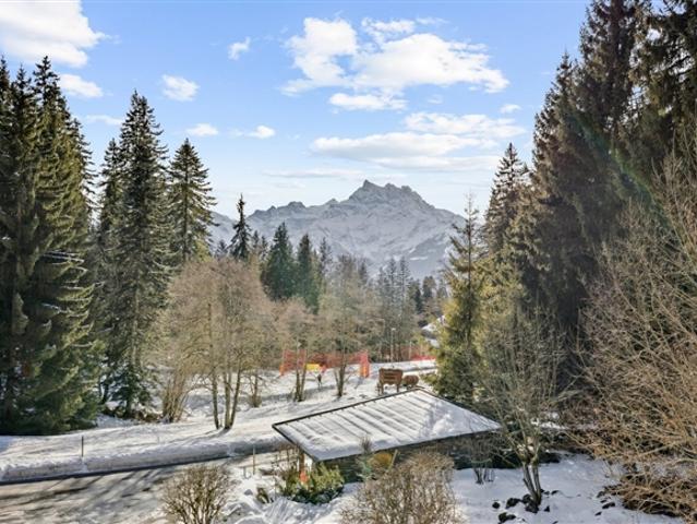 Wohnung kaufen in Ollon (VS), Waadt