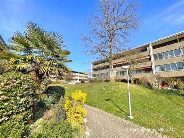 Wohnung kaufen in Rheinfelden, Aargau