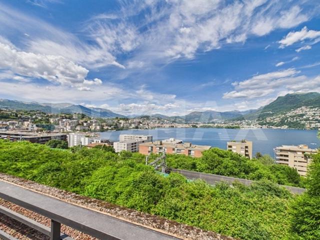 Wohnung kaufen in Paradiso, Tessin