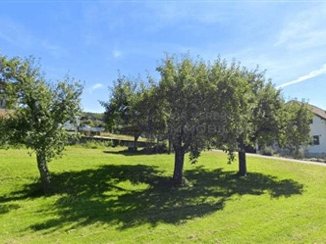 Wohnung kaufen in Hochwald, Solothurn