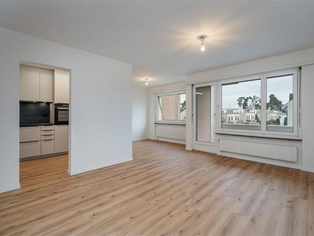 Wohnung kaufen in Villmergen, Aargau