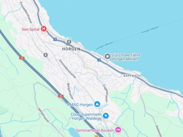 Wohnung kaufen in Horgen, Zürich