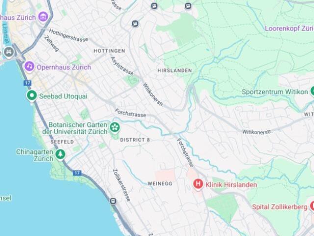 Wohnung kaufen in Zürich