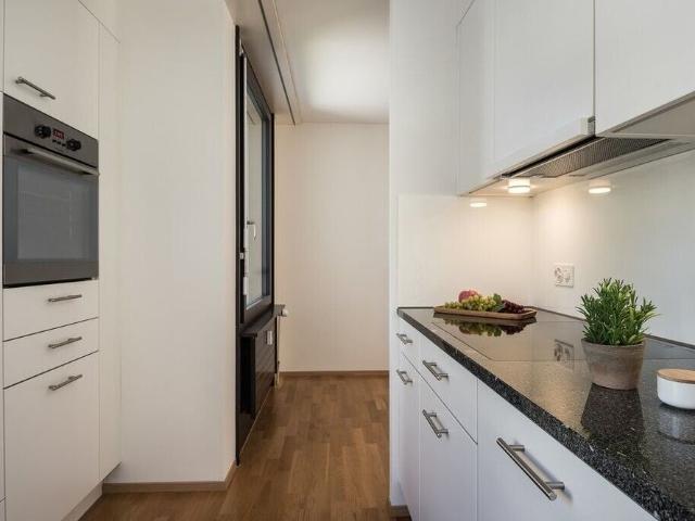 Apartment mieten in Rapperswil-Jona, St. Gallen