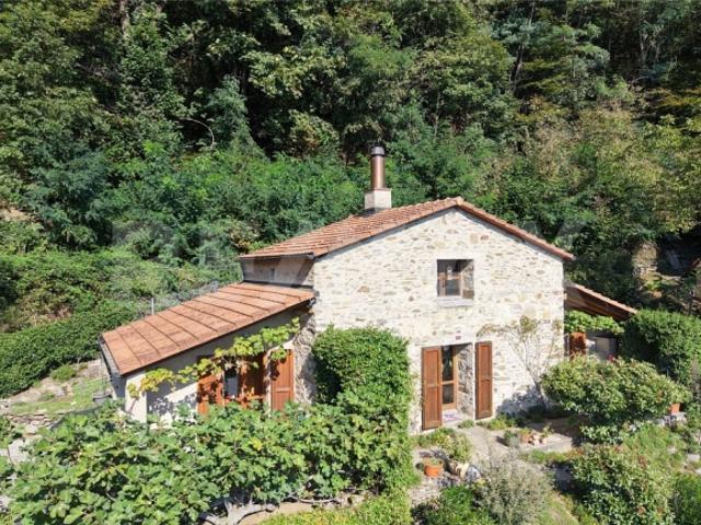 Einfamilienhaus kaufen in Cagiallo, Capriasca
