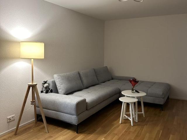 Apartment mieten in Hadlikon, Hinwil