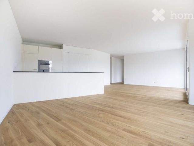 Apartment mieten in Malters, Lü