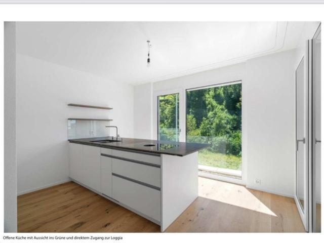 Wohnung mieten in Birmensdorf (ZH), Zürich