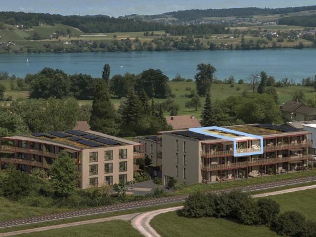 Wohnung mieten in Boniswil, Aargau
