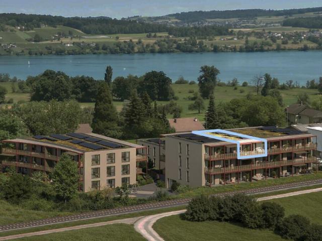 Wohnung mieten in Boniswil, Aargau