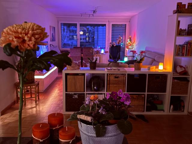 Wohnung mieten in Illnau-Effretikon, Zürich