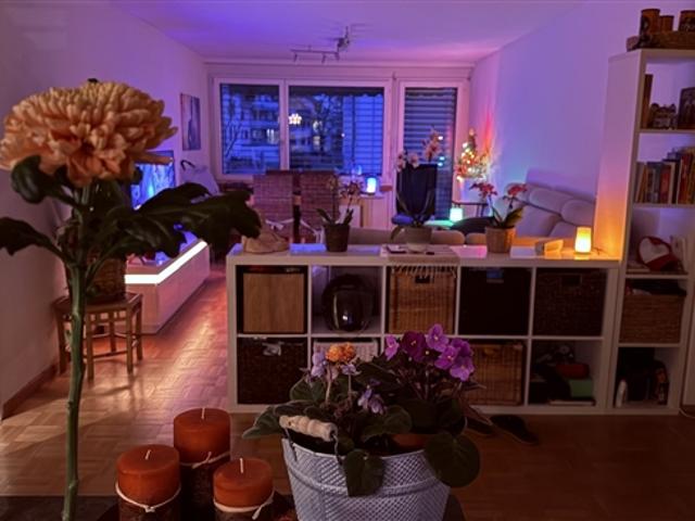Wohnung mieten in Illnau-Effretikon, Zürich