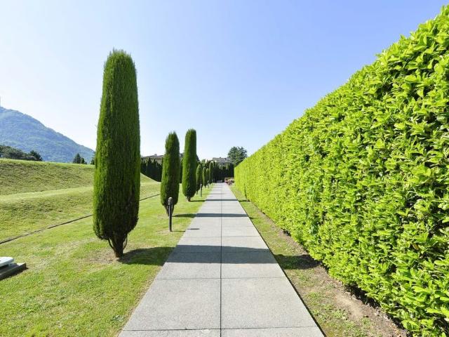 Apartment mieten in Gentilino, Collina d'Oro