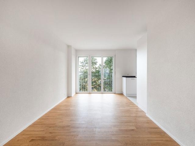 Apartment mieten in Winterthur, Zürich