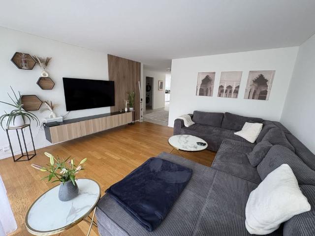 Apartment mieten in Kaiseraugst, Aargau