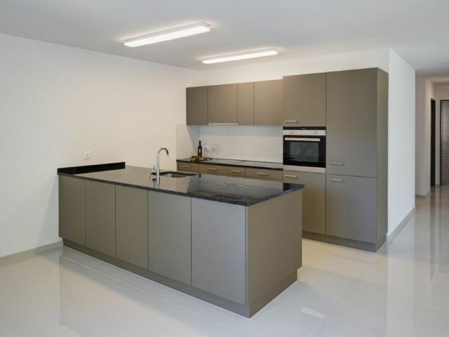 Apartment mieten in Richenthal, Reiden