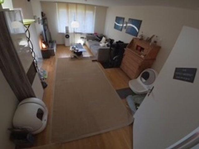 Apartment mieten in Einigen, Zürich