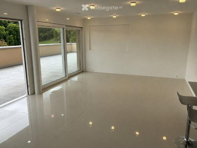 Apartment mieten in Menziken, Aargau