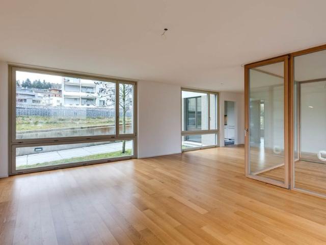 Apartment mieten in Männedorf, Zürich