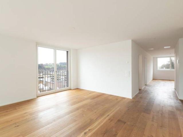 Apartment mieten in Lü