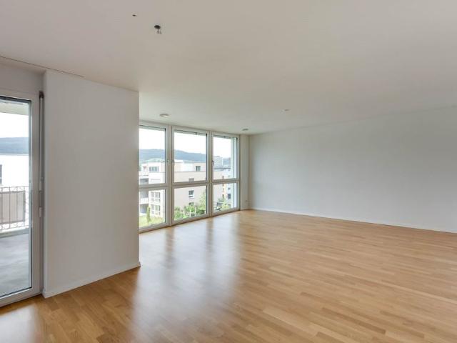 Apartment mieten in Reinach (AG), Aargau