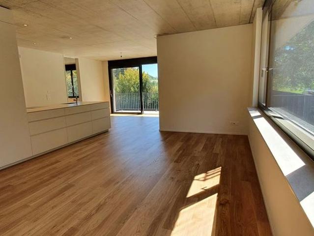 Apartment mieten in Liestal, Basel-Landschaft