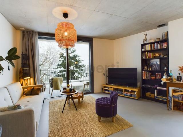 Apartment mieten in Mettmenstetten, Zürich