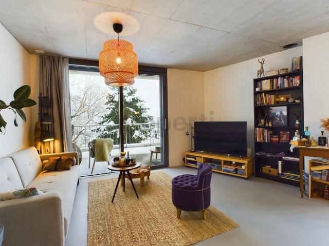 Apartment mieten in Mettmenstetten, Zürich