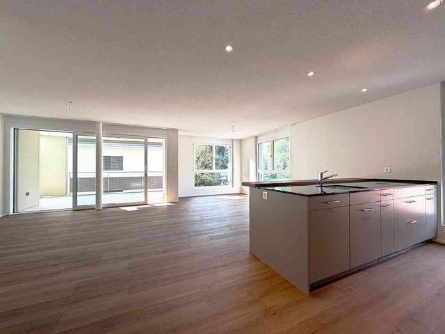 Apartment mieten in Langnau b. Reiden, Reiden