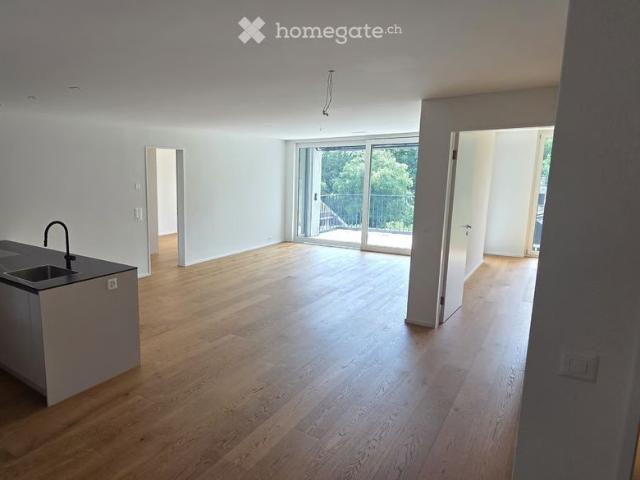 Apartment mieten in Einigen, Zürich
