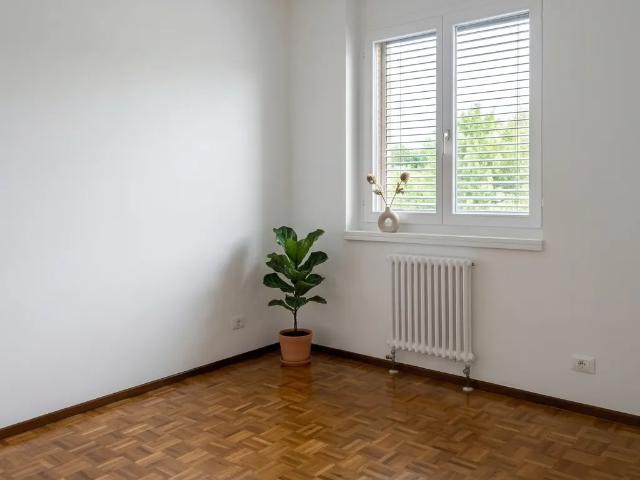 Apartment mieten in Cassina d'Agno, Agno