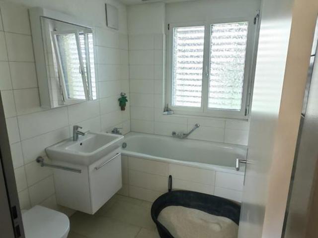 Apartment mieten in Seengen, Aargau