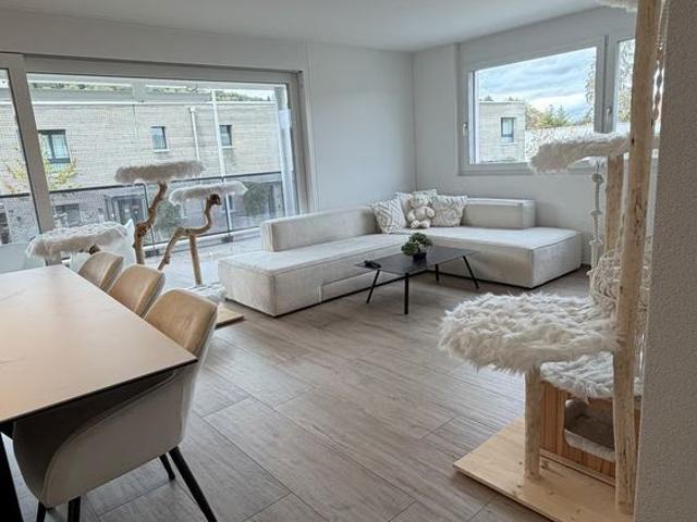 Apartment mieten in Burg AG, Menziken
