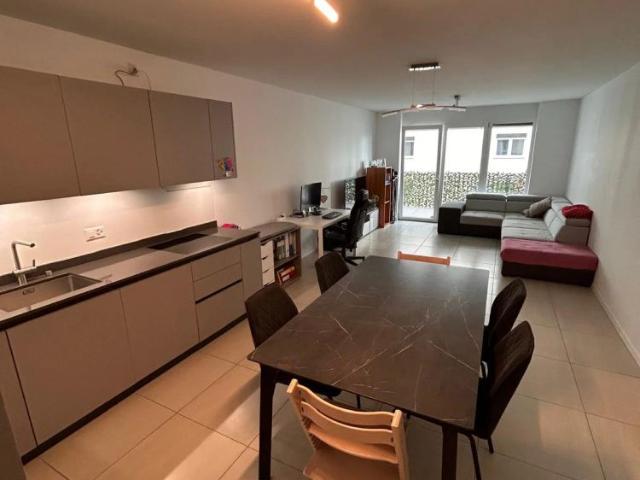 Apartment mieten in Salorino, Mendrisio