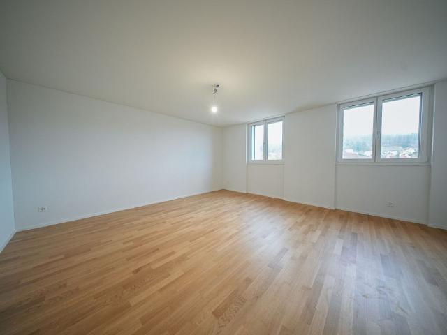 Apartment mieten in Laufen, Basel-Landschaft