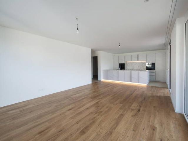 Apartment mieten in Widnau, St. Gallen