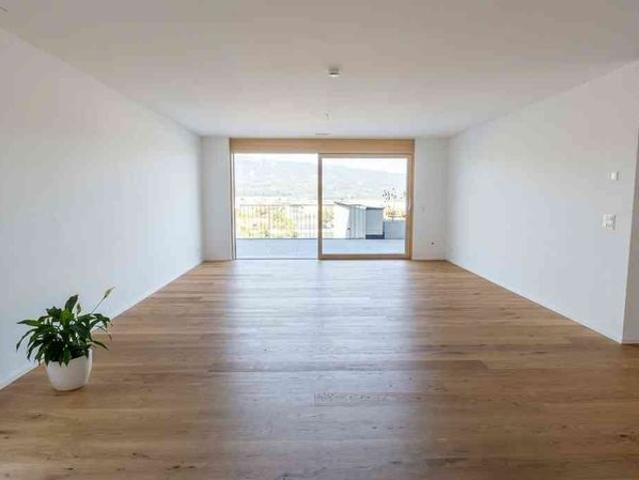 Apartment mieten in Rüti, Stein