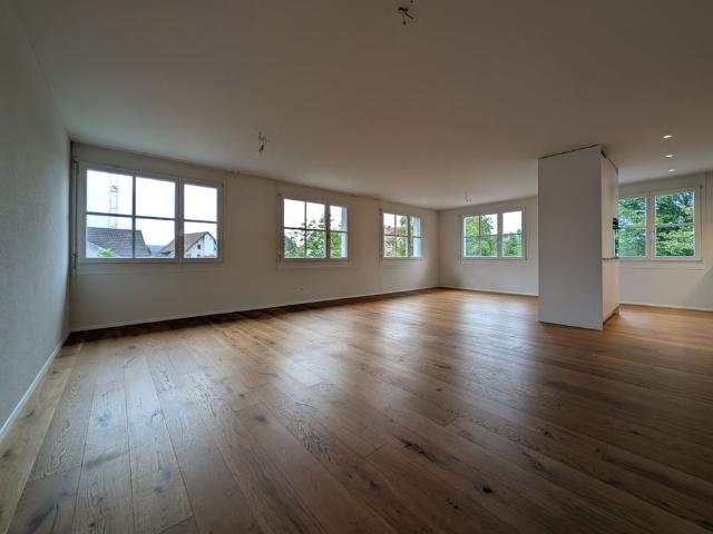 Apartment mieten in Ottenbach, Zürich