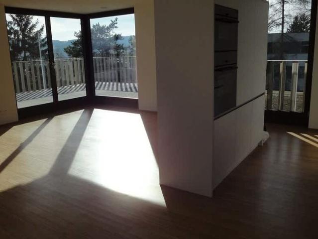 Apartment mieten in Einigen, Zürich