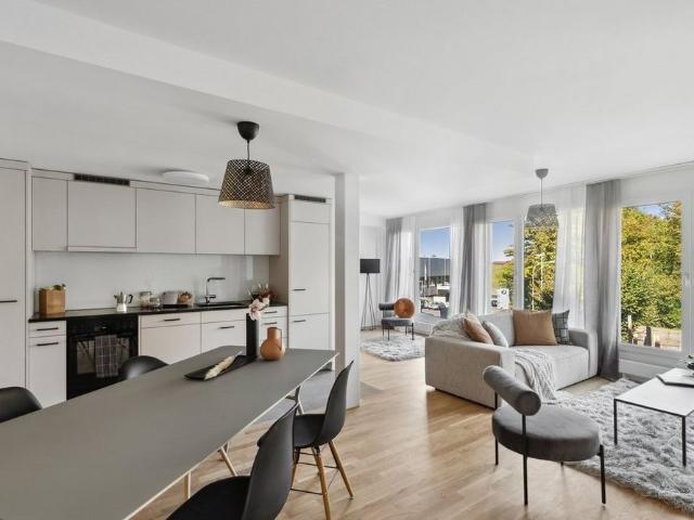 Apartment mieten in Richterswil, Zürich