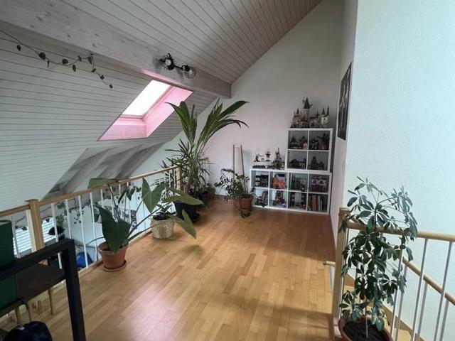 Apartment mieten in Affoltern am Albis, Zürich