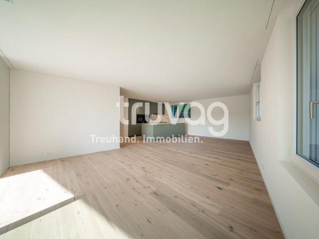Apartment mieten in Burg, Triengen