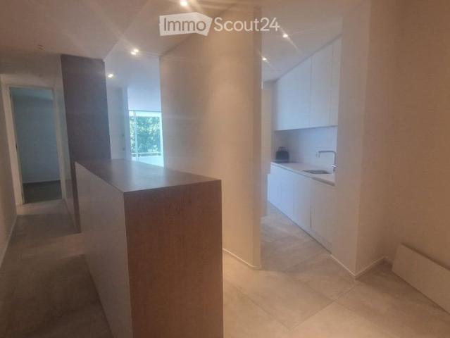 Apartment mieten in Muralto, Tessin