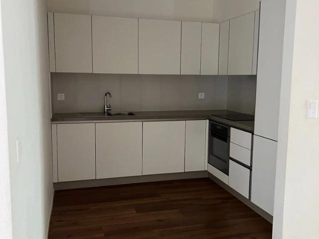 Apartment mieten in Paradiso, Tessin