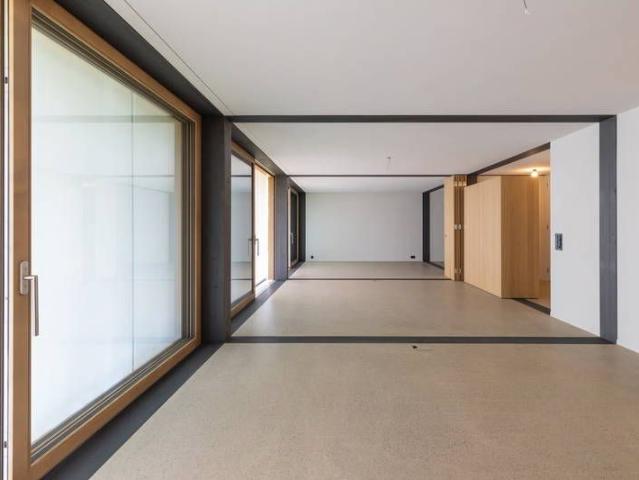 Apartment mieten in Einigen, Zürich